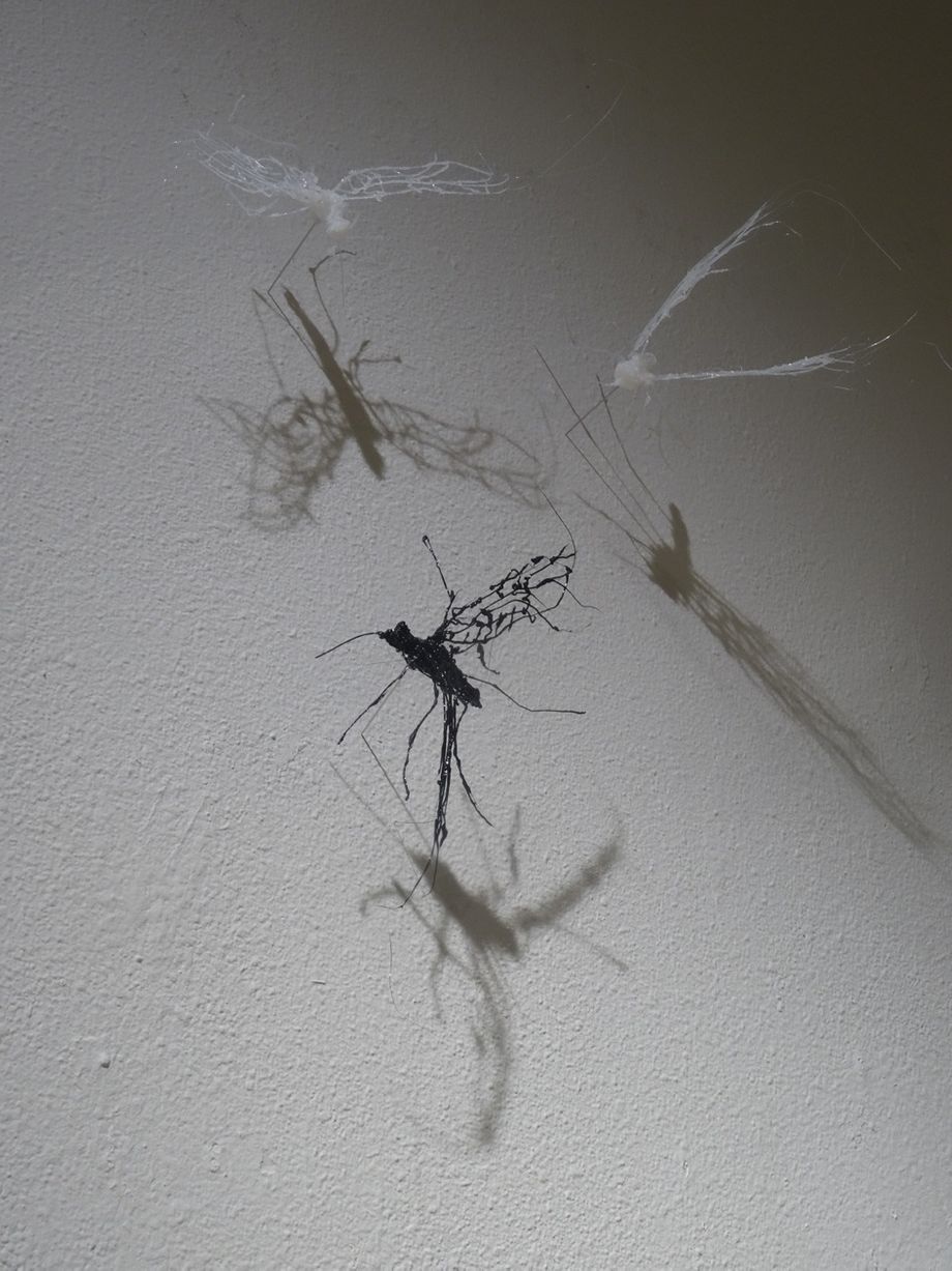 Landscape in US exhibition, Sebastopol Center for the Arts, USA 25.10. - 1.12.2019, lisää kuvia galleria/tilateokset
The Bugs, detail of an installation, 3d drawing, pla, steel
Anitta Toivio 2019
Näyttelyn ripustusmatka oli dramaattinen. Menestyksekkäiden avajaisten jälkeisenä päivänä annettiin evakuointivaroitus  Kincade maastopalon takia ja heti perään pakollinen evakuointimääräys. Kaikki tiet seuraavaan määränpäähän oli suljettu niinpä matkasuunnitelmat muuttuivat ja suunnistimme tuttavan tutun luokse Richmondiin ja sieltä meren rannalle Monterey'n. Sähkön katkaisu varsinaisessa määränpäässämme siirsi sinne menoa. Nyt kuitenkin Half Moon Bay'n residenssissä tuonne joulukuulle asti. Upeat merimaisemat ja maastopalot on enää pelottava muisto. Näyttelykin onjo avattu uudelleen. Ehkä savun haju leijuu kaiken yllä. 