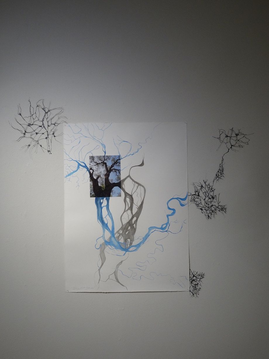 Flow, ink and 3D drawing, photo, Anitta Toivio 2017-2019